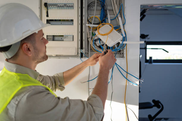 Best Generator Installation Services  in La Villa, TX